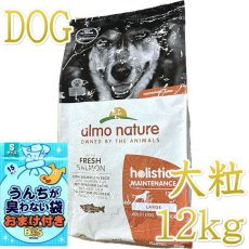 画像1: NEW おまけ付き！最短賞味2026.3.31・アルモネイチャー 犬 サーモン 大粒 12kg ald765成犬用ホリスティック ドッグフードalmo nature正規品 (1)