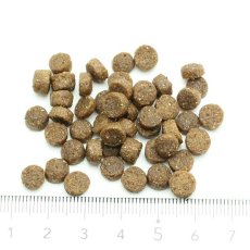 画像2: NEW 最短賞味2025.5.3・オージー ラム プラス パピー 900g成犬用総合栄養食Aussie Lamb Plus正規品alp22283 (2)