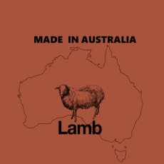 画像5: SALE/賞味切迫2025.1.26・オージー ラム プラス シニア 20kg高齢犬用ドッグフードAussie Lamb Plusブリーダーズパック正規品alp22511 (5)