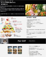 画像3: 最短賞味2025.10.10・・アンブロシア 猫 キャットサーモン＆チキン 1.5kg 全猫用 特にインドア/避妊去勢/仔猫ドライフード正規品amb32323 (3)