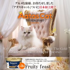 画像6: NEW 最短賞味2027.7・アタスキャット フルーティーフィースト チキンｗｉｔｈマンゴー70g 全年齢猫用一般食ata33618 (6)