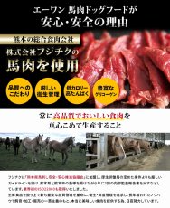 画像2: NEW 最短賞味2025.3.1・Awan エーワン 馬肉ドッグフード 1kg グルテンフリー正規品awa60018 (2)