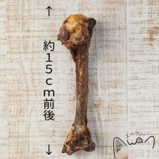 画像2: NEW 最短賞味2025.7・エーワン 鹿の骨(小) 1本 犬用おやつawa60100正規品 (2)