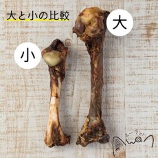 画像3: NEW 最短賞味2025.7・エーワン 鹿の骨(小) 1本 犬用おやつawa60100正規品 (3)