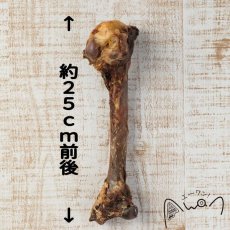 画像2: NEW 最短賞味2025.5・エーワン 鹿の骨(大) 1本 犬用おやつawa60117正規品 (2)