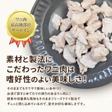 画像3: NEW 最短賞味2026.4・エーワン ドライなワニ子さん20g犬用おやつawa61671正規品 (3)