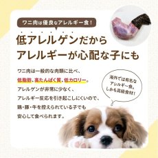 画像5: NEW 最短賞味2026.4・エーワン ドライなワニ子さん20g犬用おやつawa61671正規品 (5)