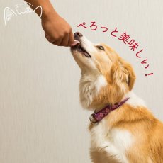 画像3: NEW 最短賞味2026.3・エーワン 鹿肉ぺろりん 10g×5本犬用おやつawa61909正規品 (3)