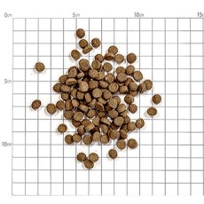 画像2: NEW 最短賞味2026.5・カントリーロード お魚でつくった腎臓ケア チキン＆ポーク100g 成猫用cr12572 (2)