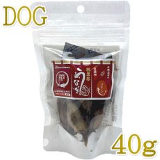 画像1: NEW 最短賞味2025.12・ドクターズチョイス 納豆菌うなぎ プレーン40g 犬用おやつdc06230 (1)