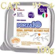 画像1: NEW 最短賞味2027.3・フォルツァ10 猫 アクティウェット リナール ラム（腎臓） 100g 成猫シニア猫対応 fo13659 正規品 (1)