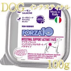 画像1: NEW 最短賞味2027.3・フォルツァ10 犬 アクティウェット インテスティナル サーモン（胃腸）100g fo13666 正規品 (1)