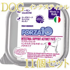 画像1: 10＋1セット・最短賞味2027.3・フォルツァ10 犬 アクティウェット インテスティナル サーモン（胃腸）100g×11個 fo13666 正規品 (1)