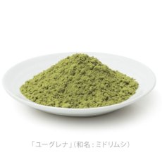 画像4: NEW 最短賞味2025.8・eugreen阪急ハロードッグ 馬肉ステーキ100g犬用レトルトお惣菜ユーグレナ配合hd01503/165441 (4)