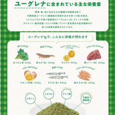 画像5: NEW 最短賞味2025.8・eugreen阪急ハロードッグ 馬肉ステーキ100g犬用レトルトお惣菜ユーグレナ配合hd01503/165441 (5)