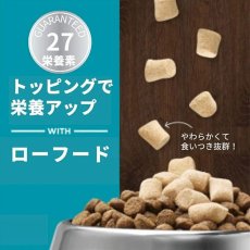 画像3: NEW 最短賞味2026.1.29・インスティンクト 犬用MIXERS マルチビタミン 成犬用 21gサプリメントトリーツins600633正規品 (3)