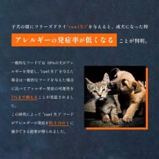 画像2: 最短賞味2026.3.7・インスティンクト 猫用MIXERS ダイジェスティブヘルス 消化器サポート21g ins601081正規品 (2)