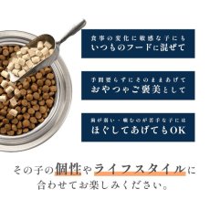 画像3: 最短賞味2026.3.7・インスティンクト 猫用MIXERS ダイジェスティブヘルス 消化器サポート21g ins601081正規品 (3)