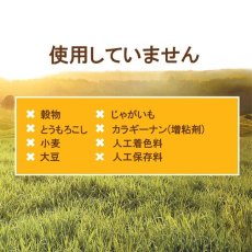 画像4: 最短賞味2025.2.22・インスティンクト 猫用ミンチカップ チキン 99g 総合栄養食ins610281正規品 (4)