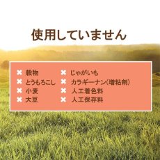 画像4: 最短賞味2025.10.26・インスティンクト 猫用ミンチカップ 天然サーモン 99g 総合栄養食ins610304正規品 (4)