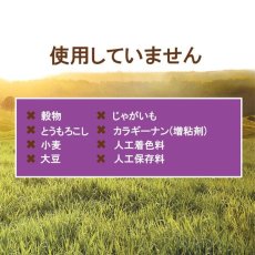 画像4: NEW 最短賞味2025.3.15・インスティンクト 猫用ミンチカップ ラビット 99g 総合栄養食ins610311正規品 (4)