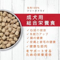 画像4: NEW 最短賞味2025.12.3・インスティンクト 犬ローロンジェビティ ビーフ141g成犬用総合栄養食ins621317正規品 (4)