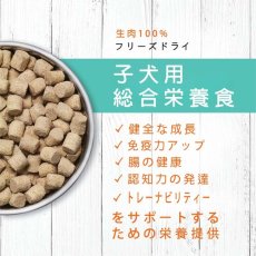 画像4: 最短賞味2025.8.30・インスティンクト 子犬ローロンジェビティ パピーチキン269g仔犬用総合栄養食ins621423正規品 (4)