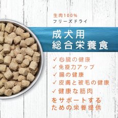 画像4: 最短賞味2025.8.22・インスティンクト 犬ローロンジェビティ フィッシュ269g成犬用総合栄養食ins621577正規品 (4)