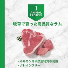 画像3: NEW 最短賞味2025.1.24・インスティンクト 犬用LID リアルラム1.8kg成犬用ドッグフードins658436正規品 (3)