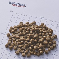 画像2: NEW 最短賞味2026.7・ナチュラルハーベスト キドニア 1.1kg 腎臓ケア対応ドッグフード Natural Harvest正規品nh12374 (2)