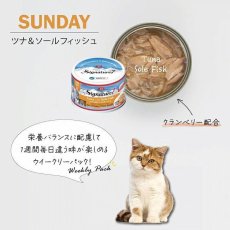 画像7: NEW 最短賞味2027.10・シグネチャー７ ウイークリーパック70g×7グレイビー総合栄養食Signature7正規品s7-wp-ga/s784550 (7)