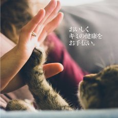 画像4: NEW最短賞味2025.7・シグネチャー７ 水 ピュアチキン パウチ 50g（11＋1）12個セット猫用総合栄養食Signature7正規品s7-l3/s786280s12 (4)