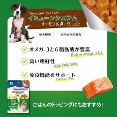 画像3: NEW 最短賞味2026.3・シグネチャー７ ドッグ サーモンチャンキー パウチ 80g×12個セット犬用総合栄養食Signature7正規品s7dgm383164 (3)