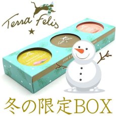 画像1: NEW 最短賞味2027.4・テラフェリス 冬の限定BOX 80g×3 tf08204成猫用ウェット正規品 (1)