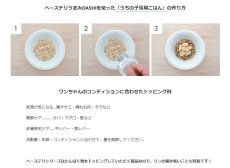 画像3: NEW 最短賞味2026.4・ホワイトフォックス ベースデリ うまみDASHI 70g犬用手作りごはんwhitefox BASE DELI wf74203 (3)