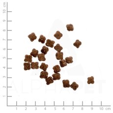 画像2: 最短賞味2026.3・ワイルドランド 猫 チキン&サーモン1.2kg/wl05672成猫用総合栄養食/穀物不使用WILDES LAND正規品 (2)