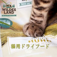 画像5: 最短賞味2025.1.7・ワイルドランド 猫 ステアライズド チキン40g/成猫用有料サンプル正規品wl50335 (5)