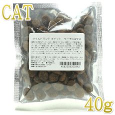 画像1: 最短賞味2025.1.6・ワイルドランド 猫 マス＆サーモン40g/成猫用有料サンプル正規品wl50342 (1)