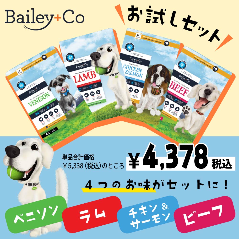 ベイリーコー4種