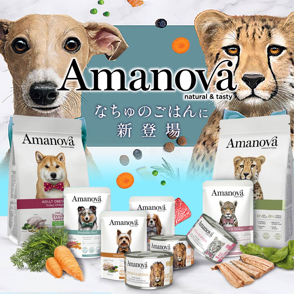 アマノヴァ