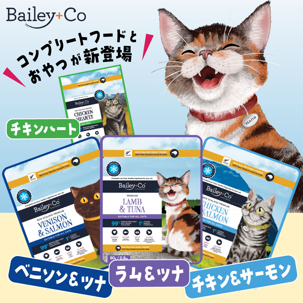 ベイリーコー猫