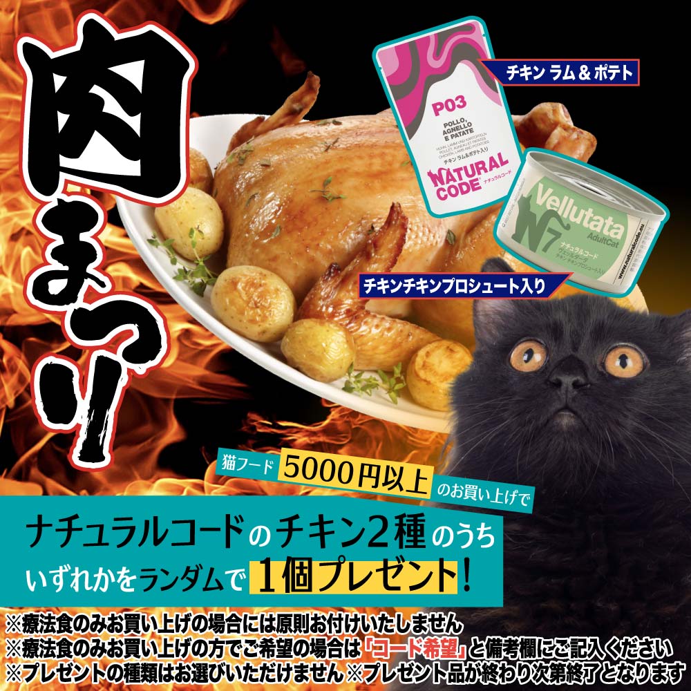 お肉祭り
