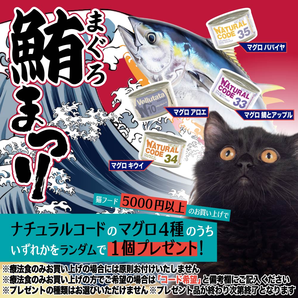 マグロ祭り