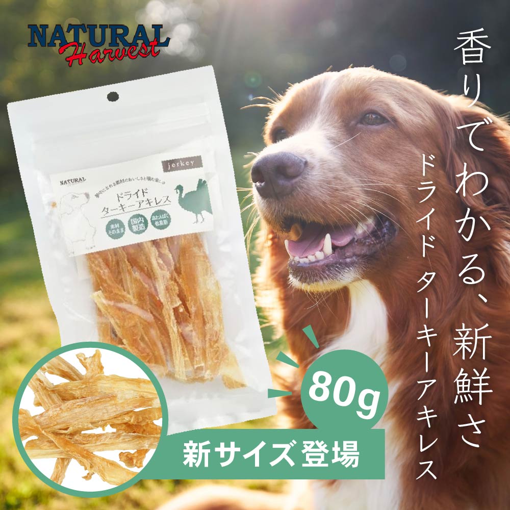 NHターキーアキレス80