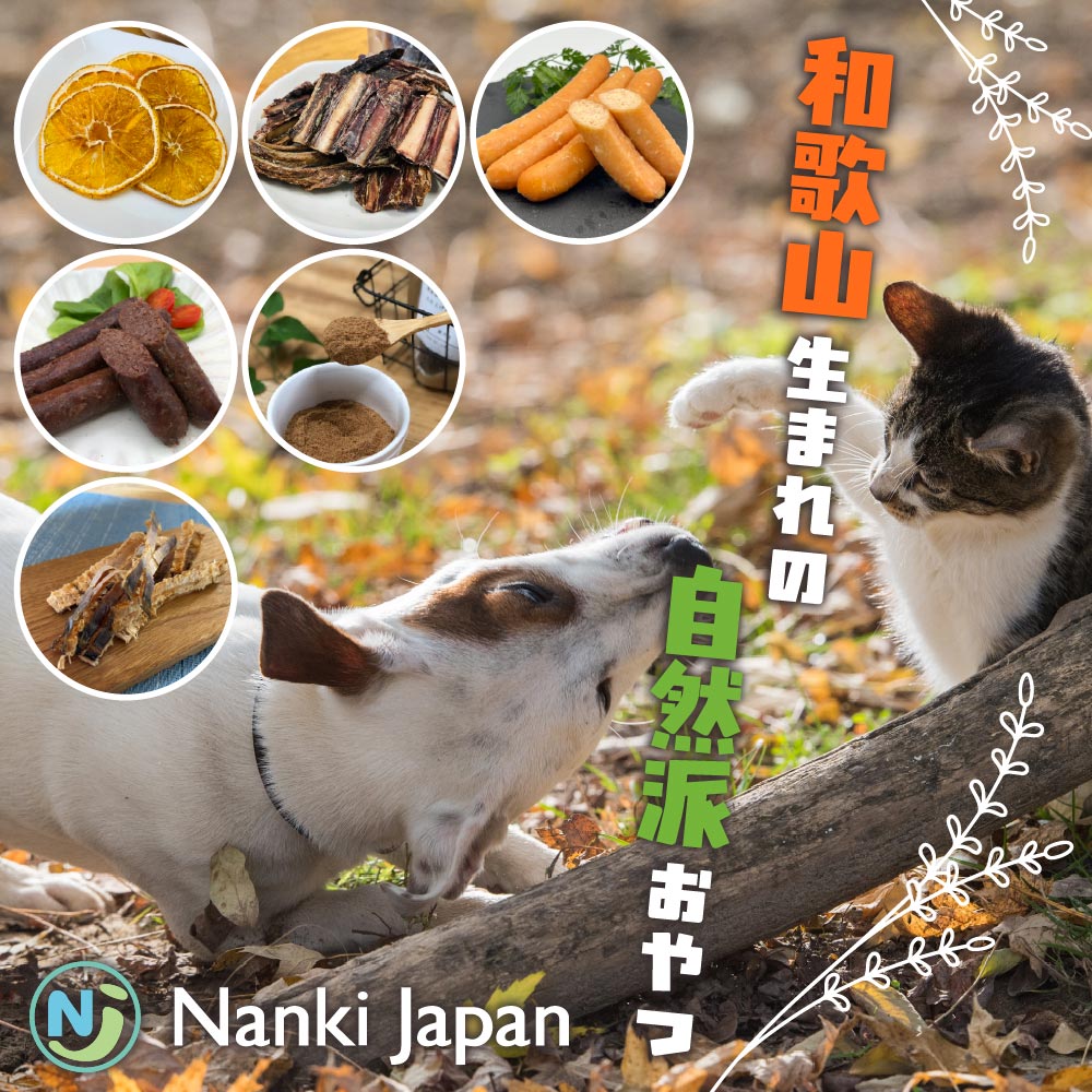 ナンキジャパン