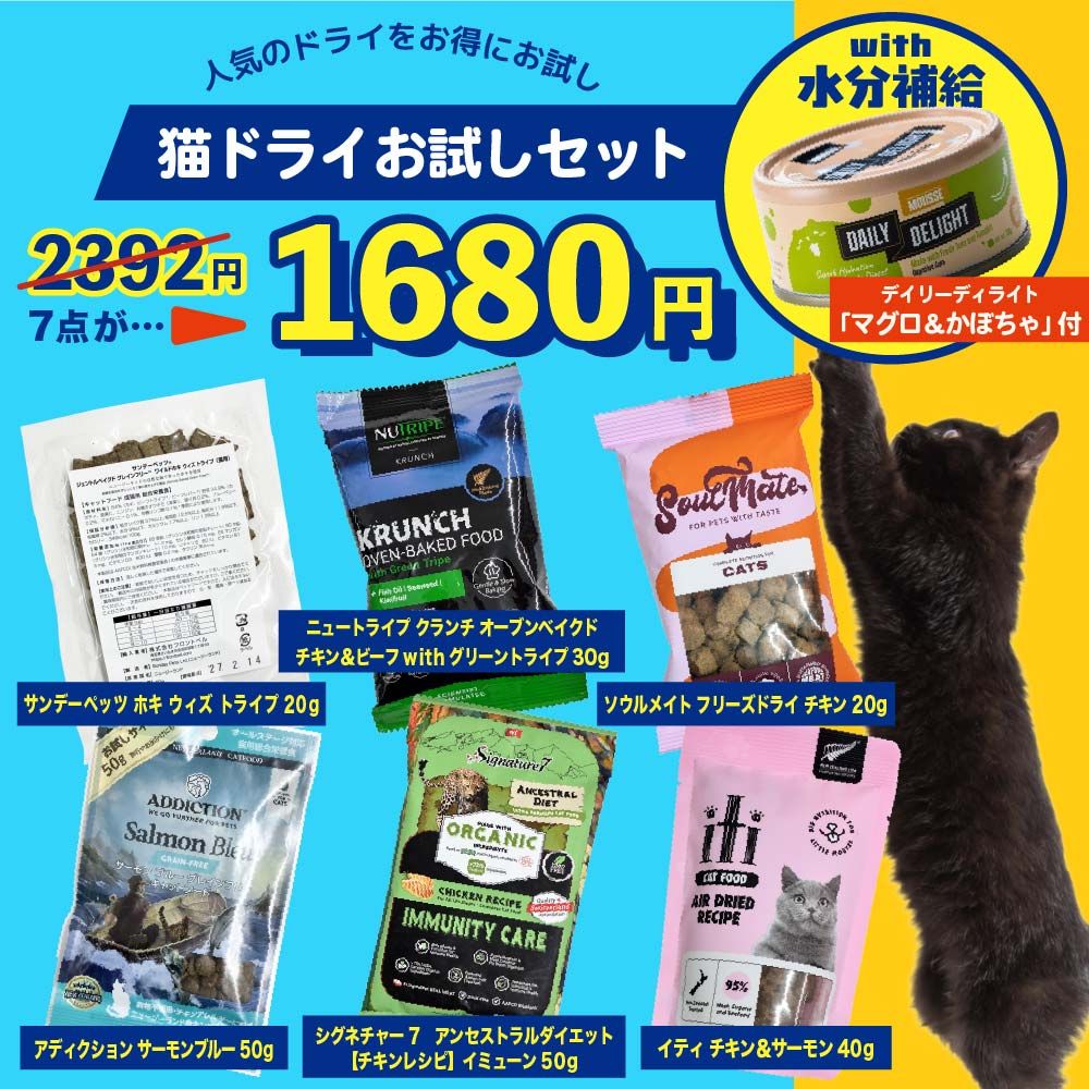 猫ウェットサンプルセット
