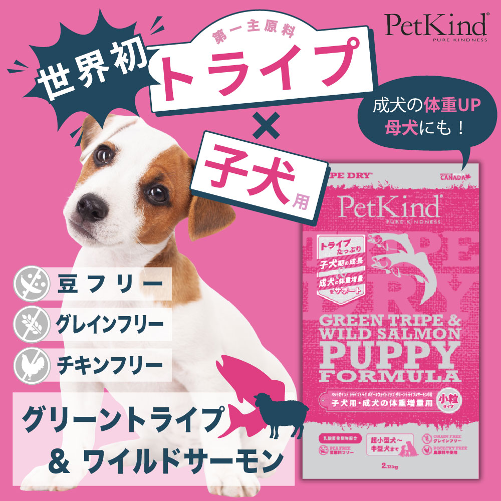 ペットカインドパピー