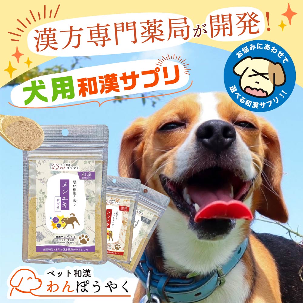 わんぽうやく